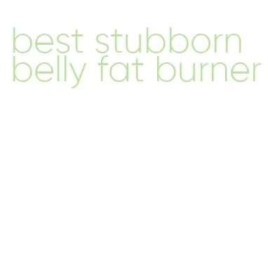 best stubborn belly fat burner