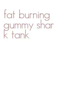 fat burning gummy shark tank