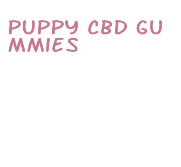 puppy cbd gummies