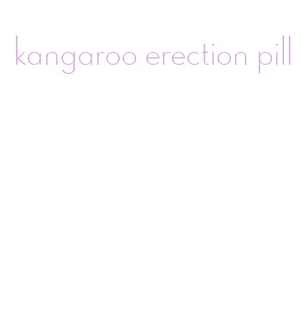 kangaroo erection pill