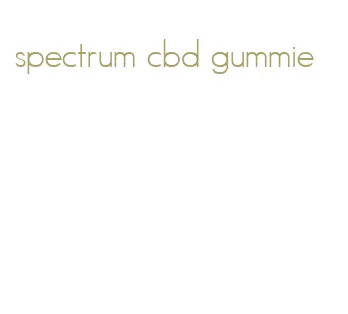 spectrum cbd gummie