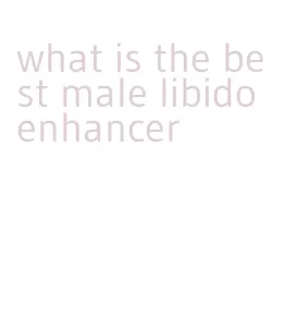 what is the best male libido enhancer