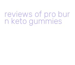 reviews of pro burn keto gummies