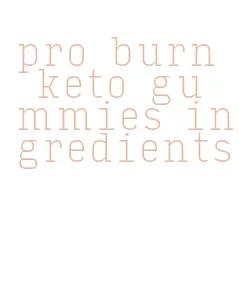 pro burn keto gummies ingredients