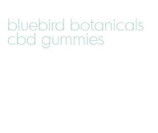 bluebird botanicals cbd gummies