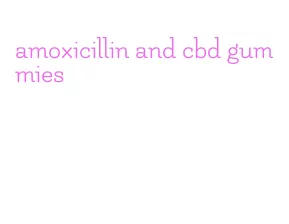 amoxicillin and cbd gummies