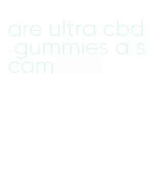 are ultra cbd gummies a scam