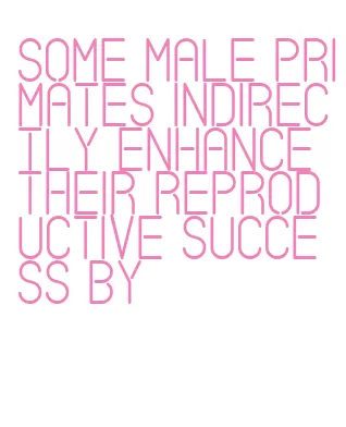 some male primates indirectly enhance their reproductive success by