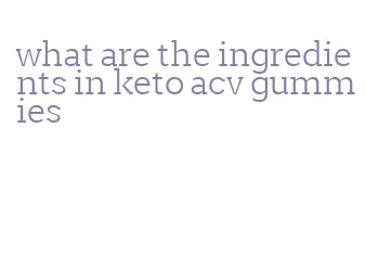 what are the ingredients in keto acv gummies