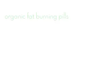 organic fat burning pills