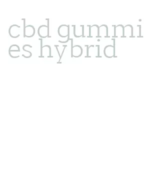 cbd gummies hybrid