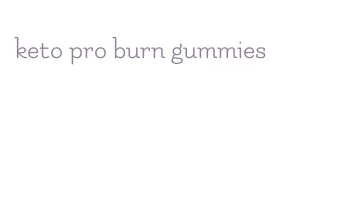 keto pro burn gummies