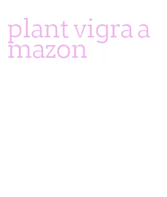 plant vigra amazon