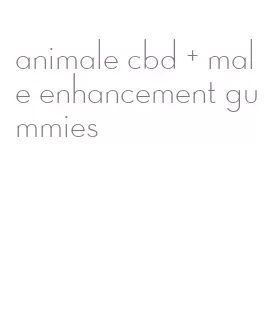 animale cbd + male enhancement gummies