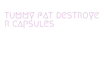 tummy fat destroyer capsules