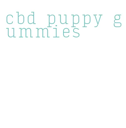 cbd puppy gummies