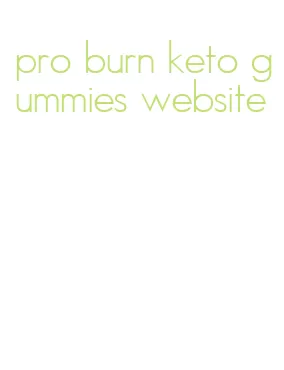 pro burn keto gummies website