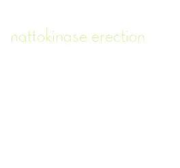 nattokinase erection