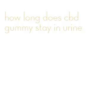 how long does cbd gummy stay in urine