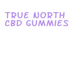 true north cbd gummies