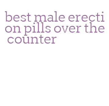 best male erection pills over the counter