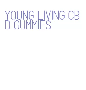 young living cbd gummies