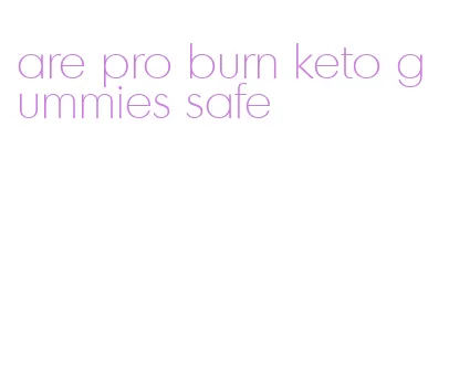 are pro burn keto gummies safe