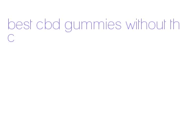 best cbd gummies without thc