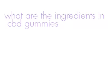 what are the ingredients in cbd gummies