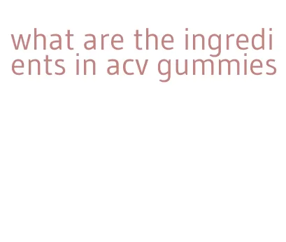 what are the ingredients in acv gummies