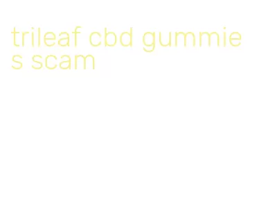 trileaf cbd gummies scam