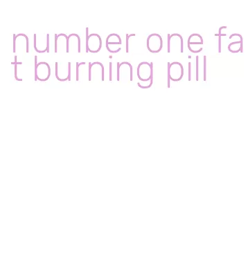 number one fat burning pill