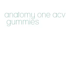 anatomy one acv gummies