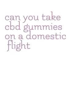 can you take cbd gummies on a domestic flight