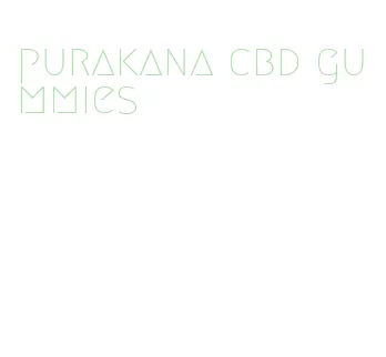 purakana cbd gummies