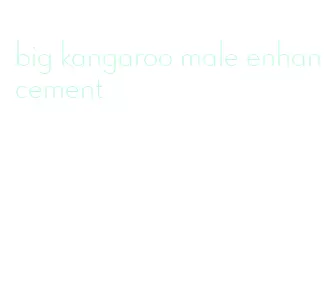 big kangaroo male enhancement