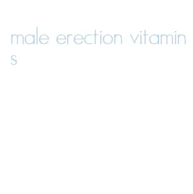 male erection vitamins