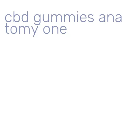 cbd gummies anatomy one