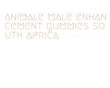 animale male enhancement gummies south africa