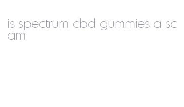 is spectrum cbd gummies a scam