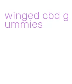 winged cbd gummies