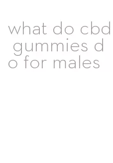 what do cbd gummies do for males