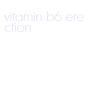 vitamin b6 erection