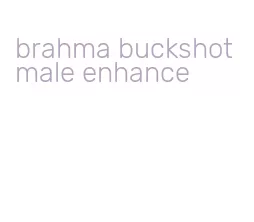 brahma buckshot male enhance