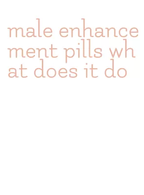 male enhancement pills what does it do