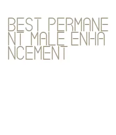 best permanent male enhancement