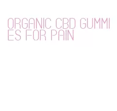 organic cbd gummies for pain