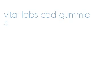 vital labs cbd gummies