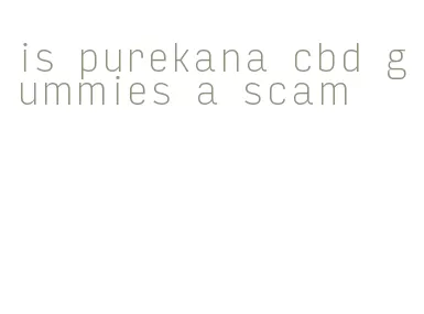 is purekana cbd gummies a scam