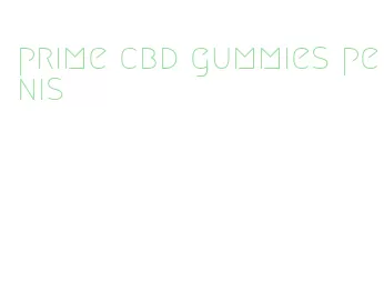 prime cbd gummies penis